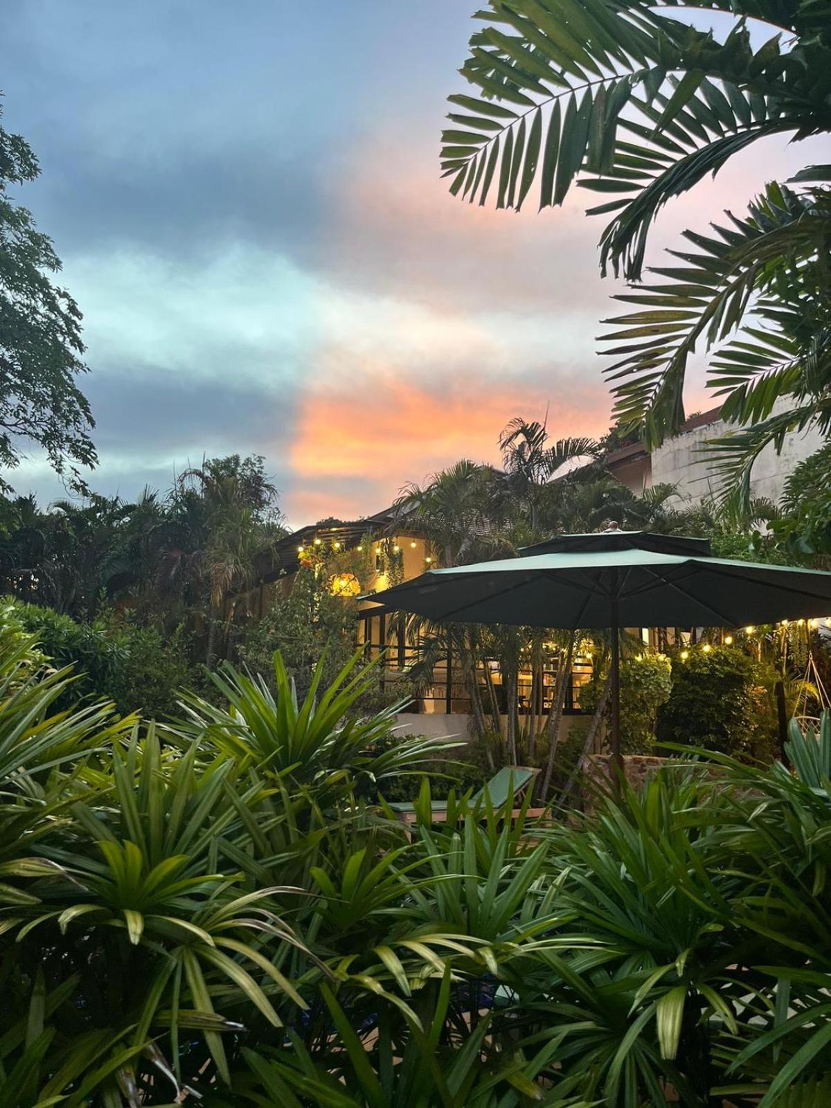 Beautiful Garden 3 Bedroom Close To Villa